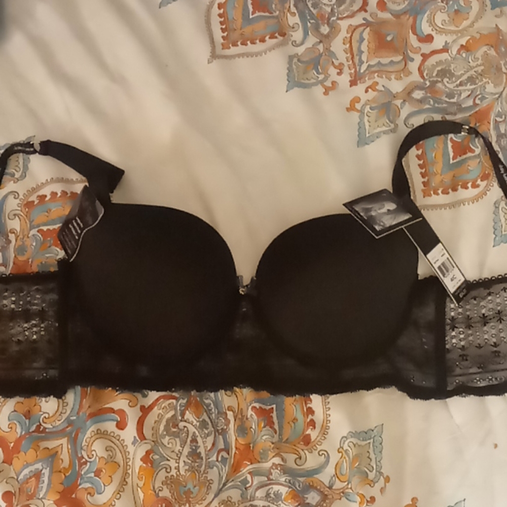 Daisy Fuentes Full figure bra